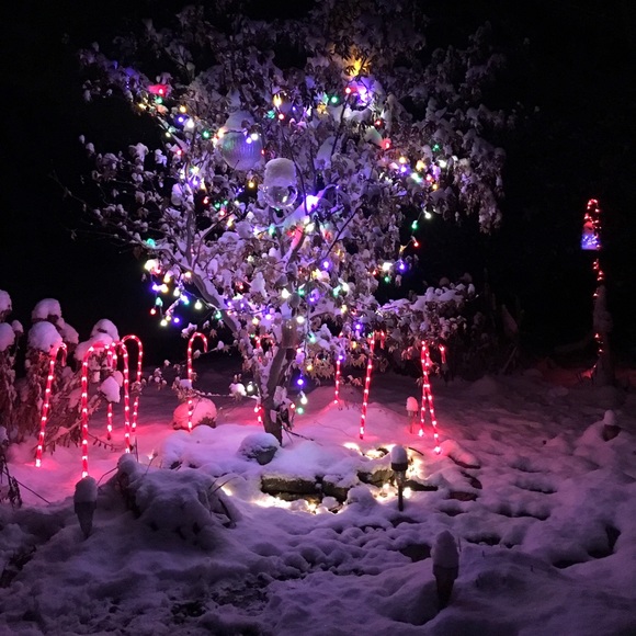 💥🎉 HAPPY HOLIDAYS FELLOW POSHERS! - Picture 3 of 16